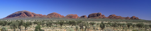 the Red Centre